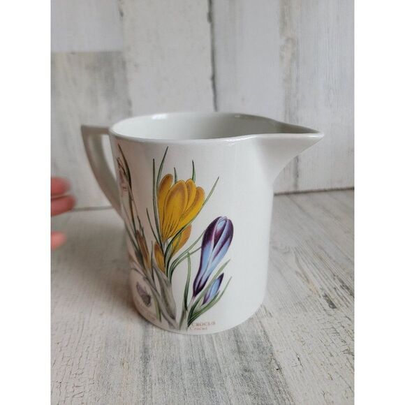 Botanic Gardens crocus meadow saffron snow drop picture flower - Picture 6 of 11